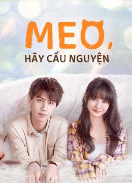 Meo Hãy Cầu Nguyện